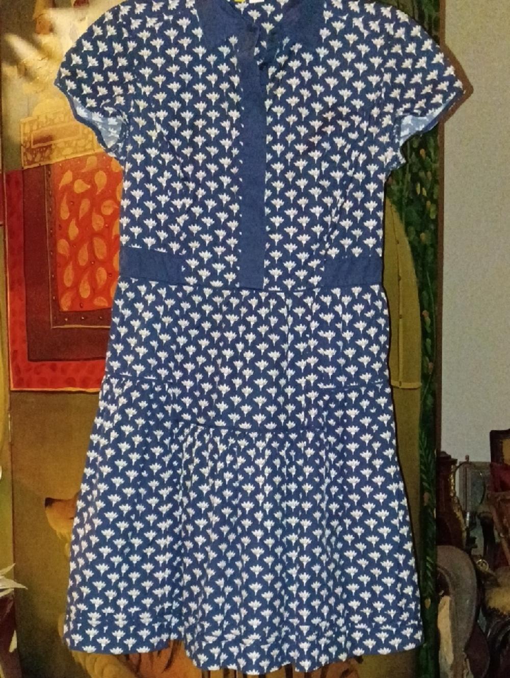 Diane Von Furstenberg Blue and White Floral Dress
